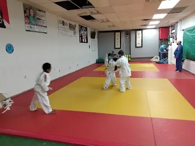 Judokaa Martial Arts BJJ Academy - photo 1
