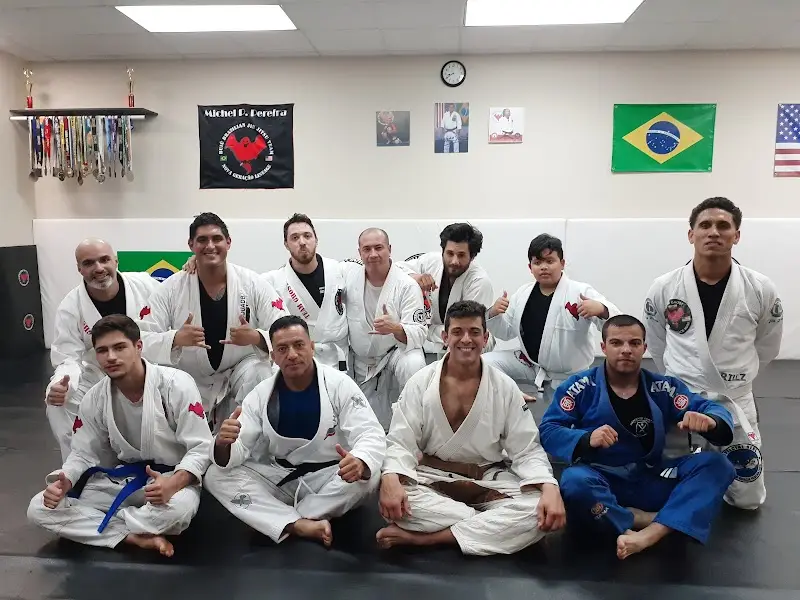 Juijitsu Team Legions BJJ Academy - photo 1