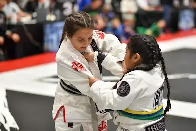 Julio Juarez Brazilian Jiu-Jitsu BJJ Academy - photo 3