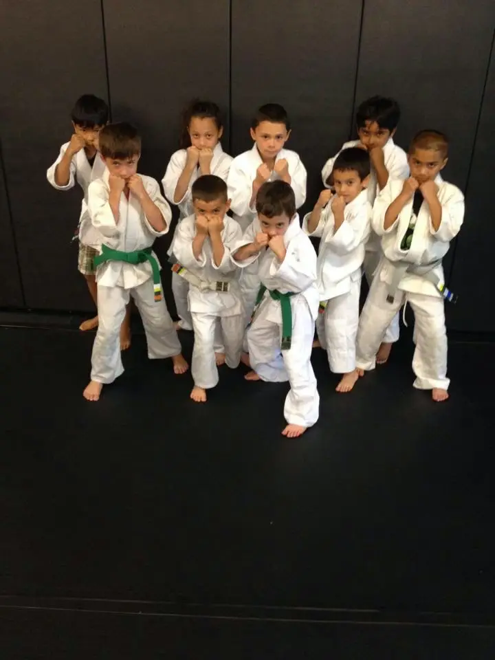 Jungle Gym Martial Arts BJJ Academy - photo 1