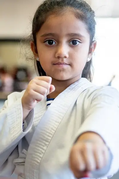 K1 Karate BJJ Academy - photo 2