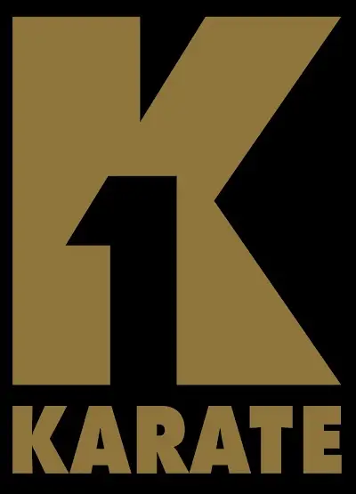 K1 Karate BJJ Academy - photo 3
