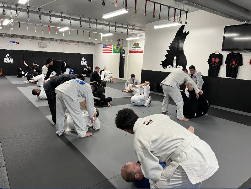 Kaiju BJJ Academy BJJ Academy - photo 1