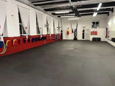Kaizen Martial Arts Academy BJJ Academy - photo 2