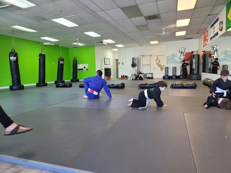 Kaizen Martial Arts Academy