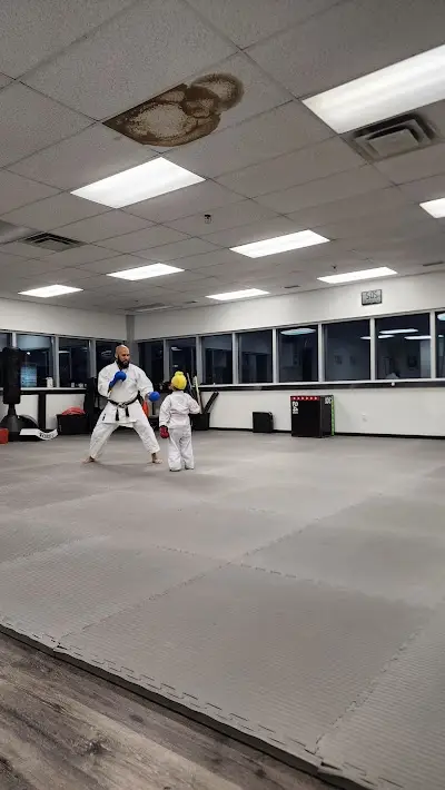 Kaizen Martial Arts BJJ Academy - photo 3