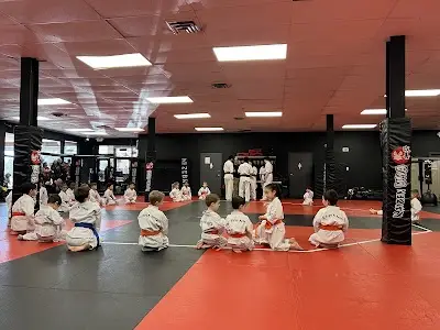 Kaizen MMA Fairfax BJJ Academy - photo 3