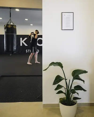 kampfIQ Studio - Kampfsportschule in Leipzig BJJ Academy - photo 3