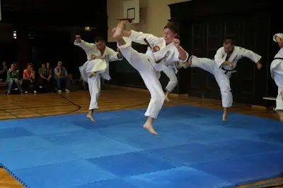 Kampfkunstschule Yushinkan e.V. BJJ Academy - photo 1
