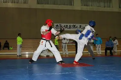 Kampfkunstschule Yushinkan e.V. BJJ Academy - photo 2