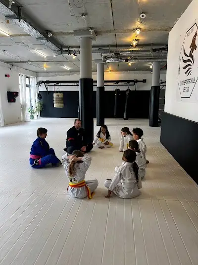 Kampfsportschule Leipzig Lindenau BJJ Academy - photo 2