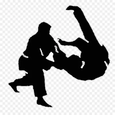 Kaso Ryu Ju Jitsu BJJ Academy - photo 2