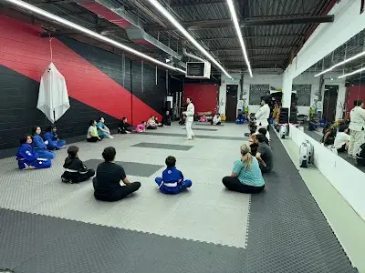 KAZE BJJ Brazilian Jiujitsu BJJ Academy - photo 1