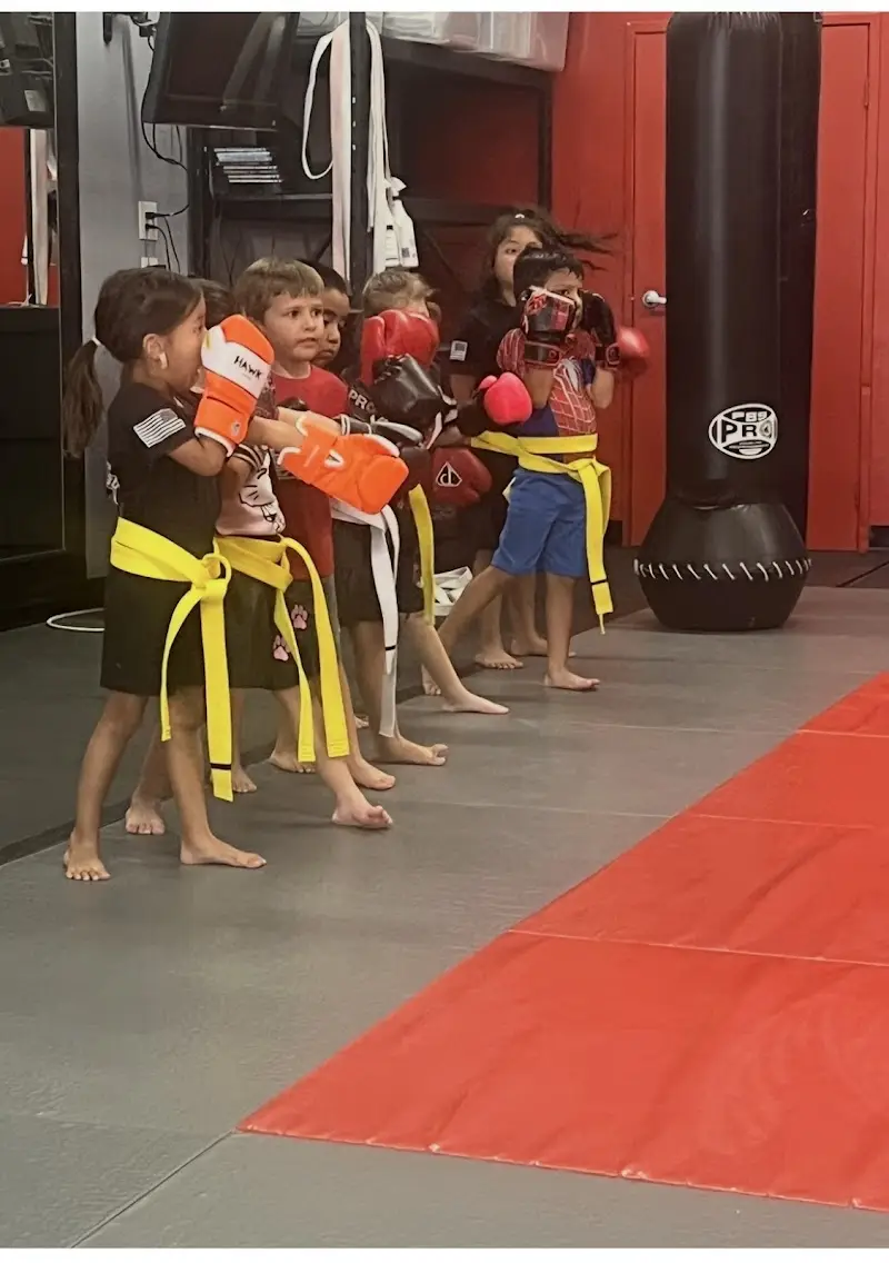 Kihon MMA and Brazilian Jiu-Jitsu BJJ Academy - photo 2