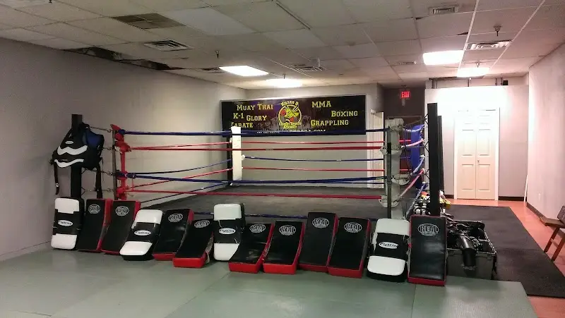 Killer B Combat Sports Academy BJJ Academy - photo 2