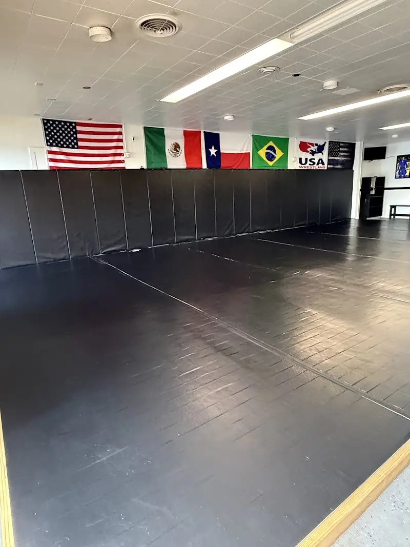 Killer Bee Brazilian Jiu Jitsu BJJ Academy - photo 1