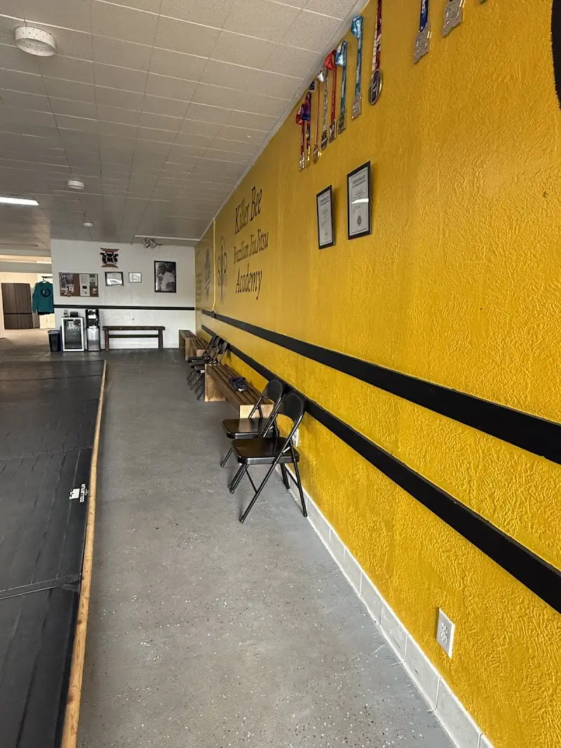 Killer Bee Brazilian Jiu Jitsu BJJ Academy - photo 2