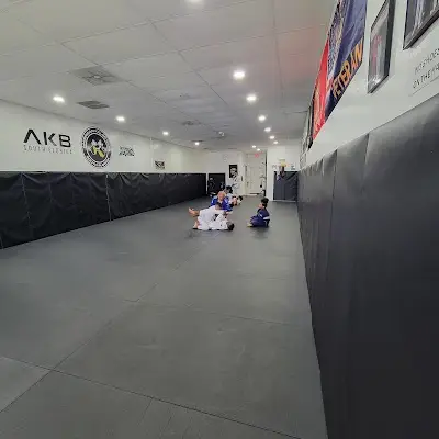 Killer Bees South Florida Brazilian Jiu Jitsu