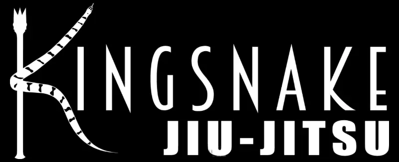 Kingsnake Jiu-Jitsu BJJ Academy - photo 2