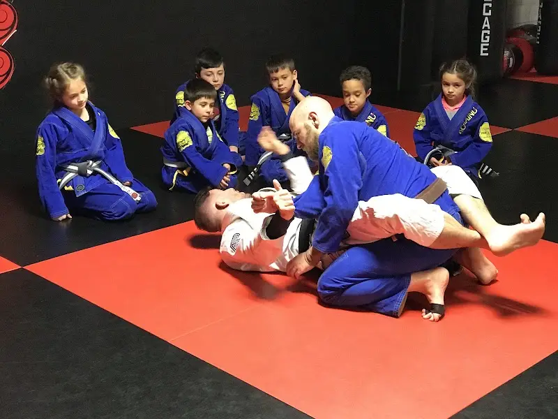 Komainu Yemaso Brazilian Jiu Jitsu Reno BJJ Academy - photo 2