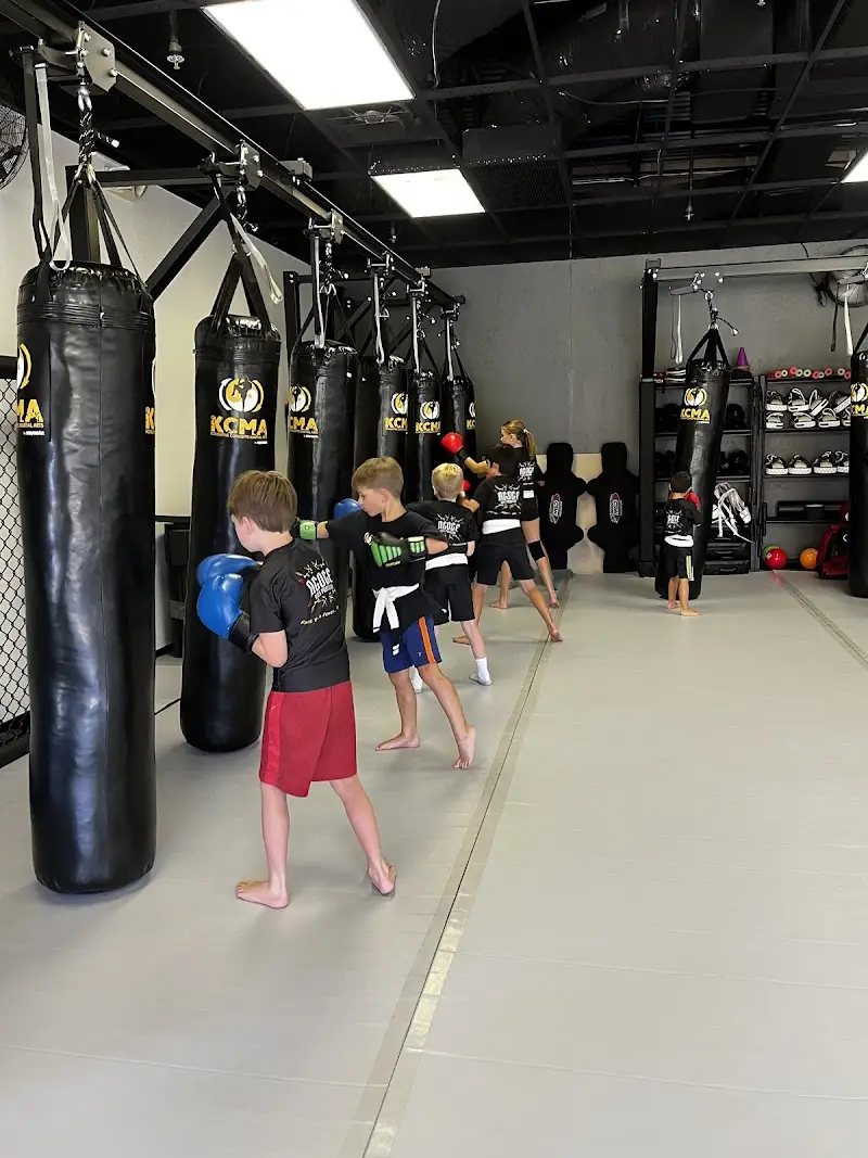 Kombative Concepts Martial Arts BJJ Academy - photo 1
