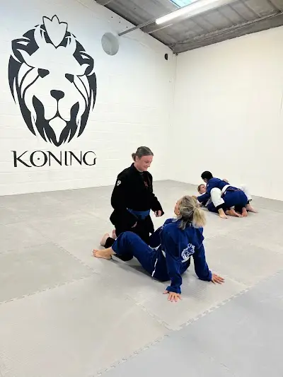 Koning Fighting & Fitness Academy BJJ Academy - photo 1