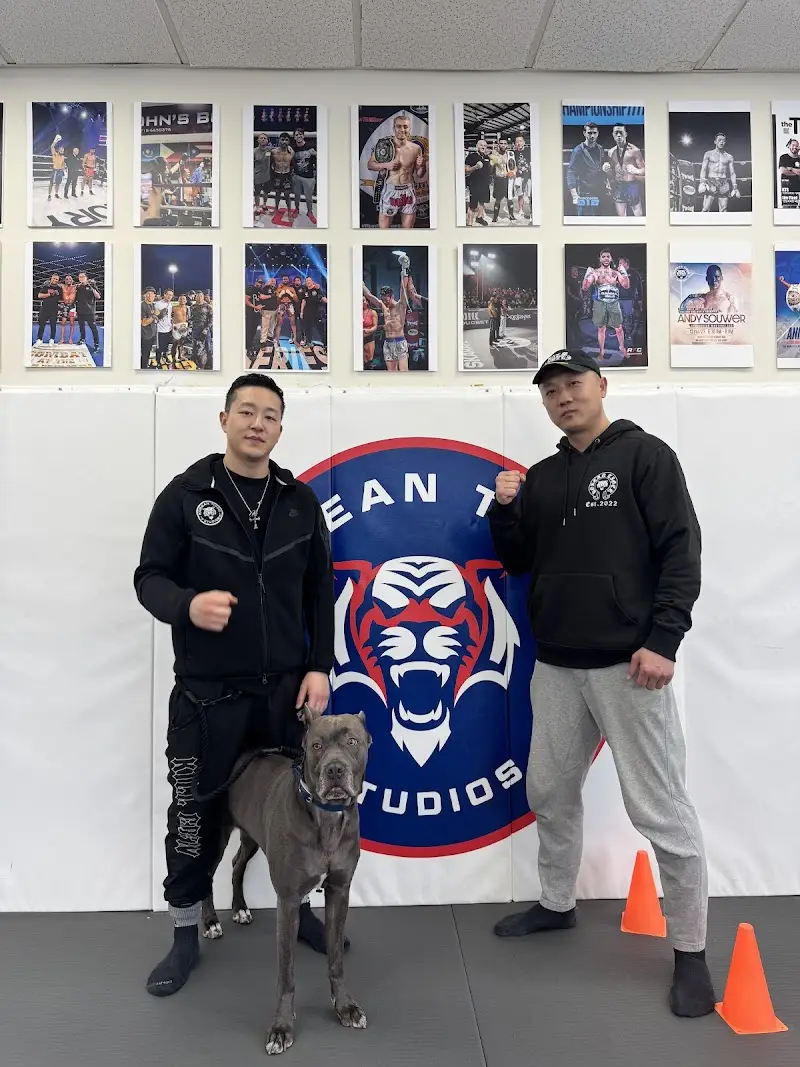 Korean Tiger Studios