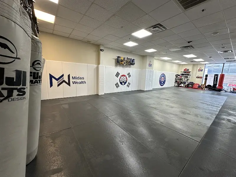 Korean Tiger Studios BJJ Academy - photo 1
