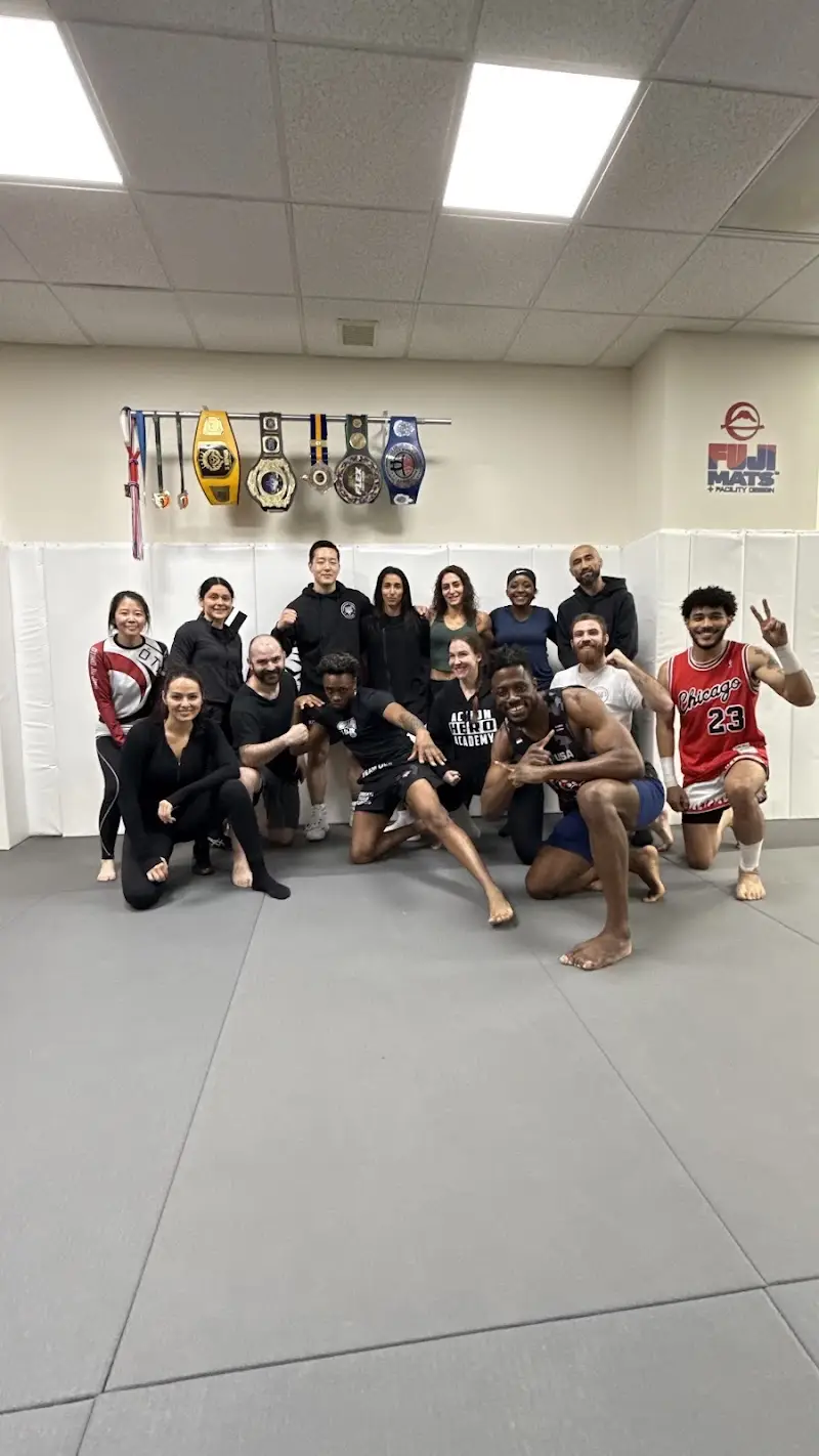 Korean Tiger Studios BJJ Academy - photo 2