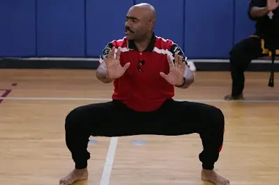 Kuk Sool of Chicago BJJ Academy - photo 4