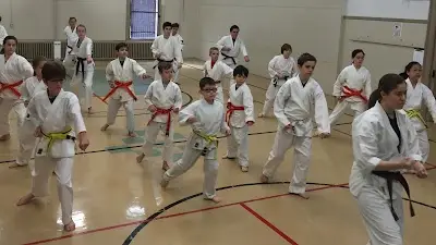 Kyushu-Ryu Ju-Jitsu