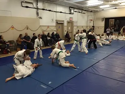 Kyushu-Ryu Ju-Jitsu BJJ Academy - photo 1