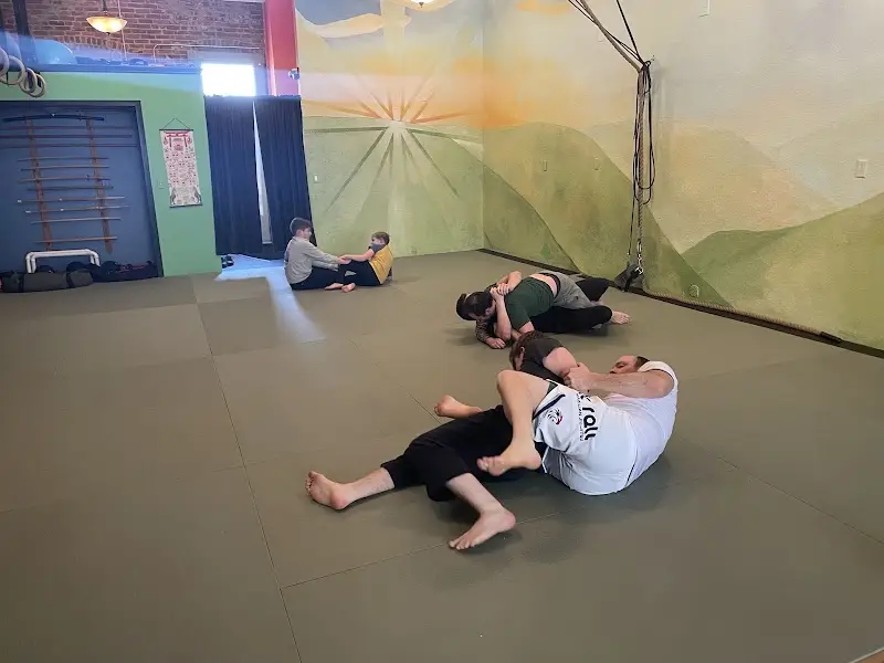 La Crosse American Jiu Jitsu BJJ Academy - photo 1