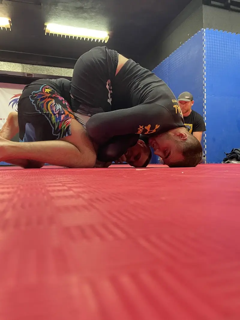 La Crosse American Jiu Jitsu BJJ Academy - photo 2