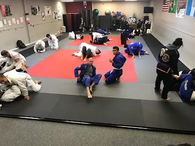 Lake County Brazilian Jiu-Jitsu BJJ Academy - photo 2