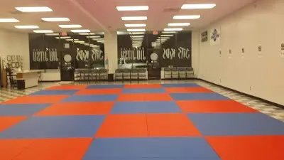 Laviano Jiu Jitsu BJJ Academy - photo 3