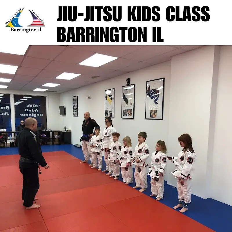 LCCT Brazilian Jiu Jitsu Barrington BJJ Academy - photo 1