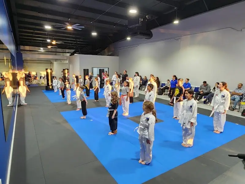 Leaders for Life Martial Arts - Katy