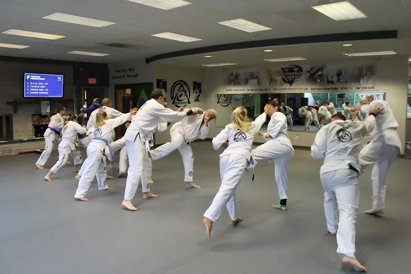 LEADERSHIP ACADEMY MARTIAL ARTS and FITNESS BJJ Academy - photo 1