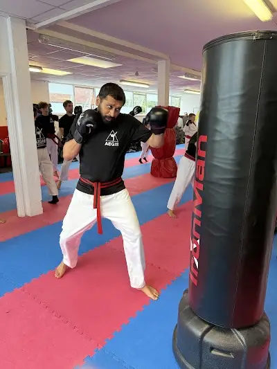 Leeds North AEGIS Martial Arts Academy BJJ Academy - photo 1