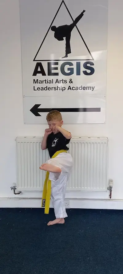 Leeds South AEGIS Martial Arts BJJ Academy - photo 2