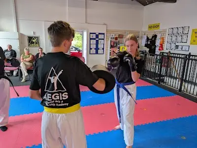 Leeds West AEGIS Martial Arts Academy BJJ Academy - photo 2