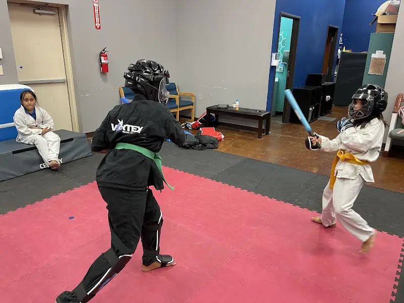 Legacy Academy Martial Arts BJJ Academy - photo 1
