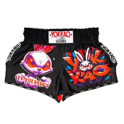 Legacy Fight Goods – Boxing, Muay Thai, MMA & BJJ Gear BJJ Academy - photo 2