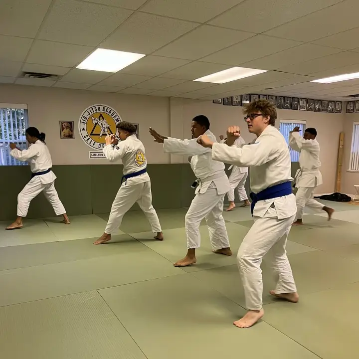 Legacy self defense Brazilian Jiu Jitsu BJJ Academy - photo 2