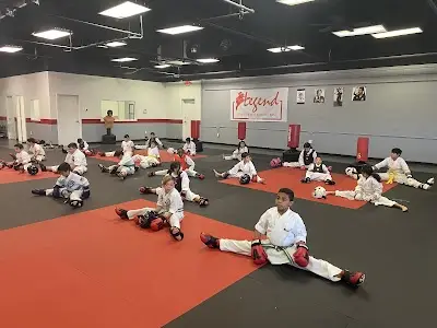 Legend Martial Arts Sports Center BJJ Academy - photo 1