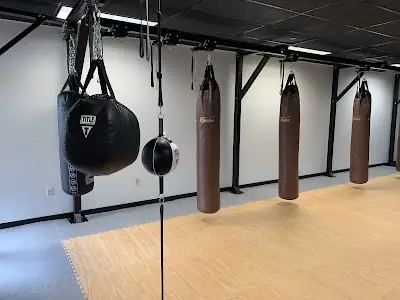 Legend Mixed Martial Arts BJJ Academy - photo 1