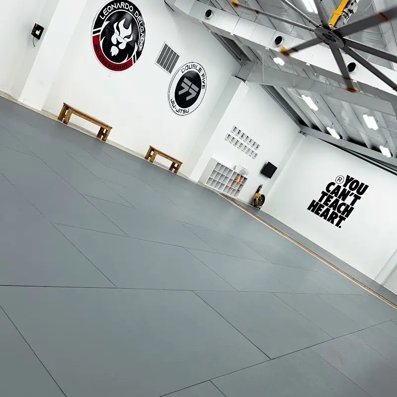 Leonardo Delgado Jiu-Jitsu Academy BJJ Academy - photo 1