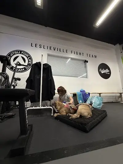 Leslieville BJJ BJJ Academy - photo 2
