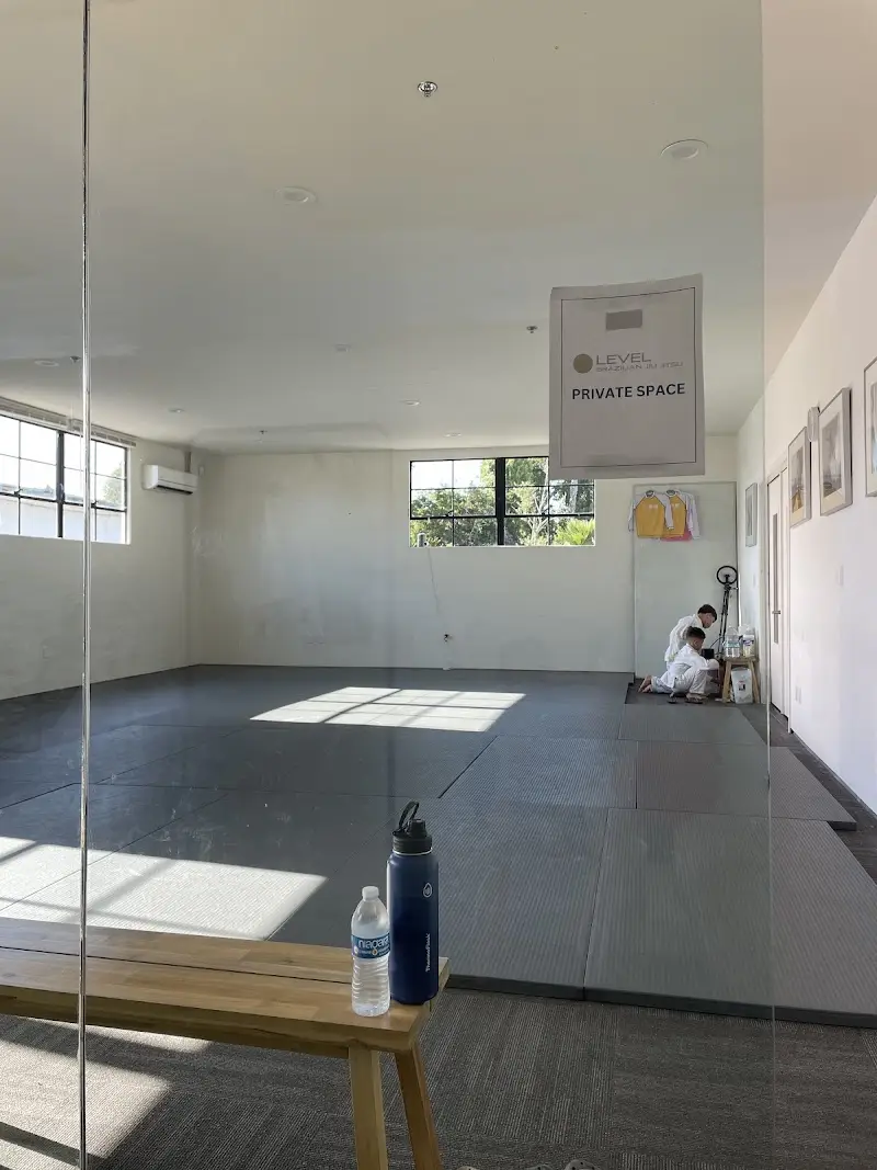 Level Up Brazilian Jiu Jitsu Culver City BJJ Academy - photo 2